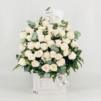 13227 - صورة 1