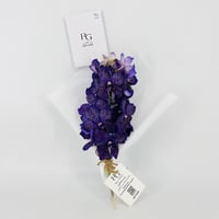 14234 - Image 1