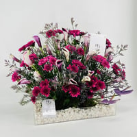 7610-01 - صورة 2