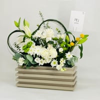 10127-67 - صورة 3