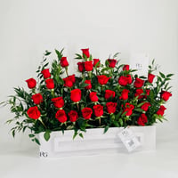 10561-125 - صورة 2