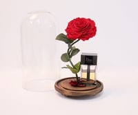 ب وكس وردة دائمة مع عطر ديور هوم انتنس 100 مل رقم.2311-410 - صورة 1