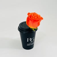 10817 - صورة 2