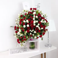 17499 - صورة 1