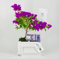 12454 - Image 1
