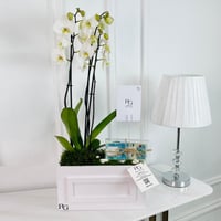 12360 - Image 1
