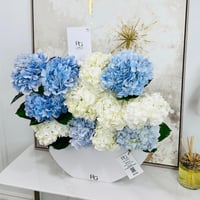 15945 - صورة 3