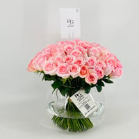 13242 - صورة 2