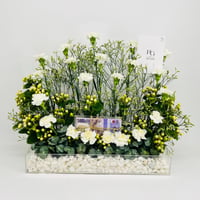 8830 - Image 1