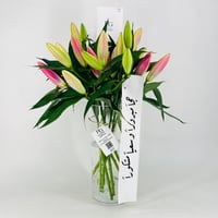 12665 - Image 1