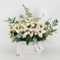 13698 - صورة 1