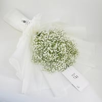 5034 - صورة 2