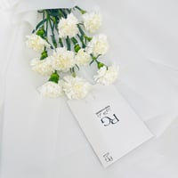 4545 - Image 4