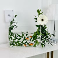 13869 - صورة 1