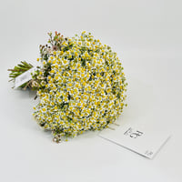 2665-109 - صورة 2