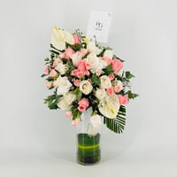 13354 - صورة 1