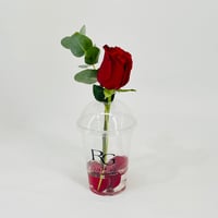 10805 - Image 3