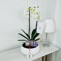 15344 - Image 1