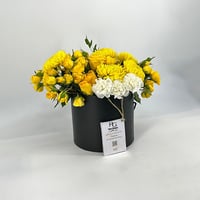 4923-05 - صورة 2