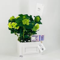 12440 - Image 2