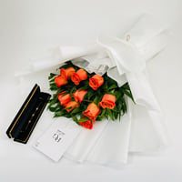10393 - صورة 1
