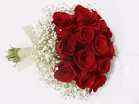 248-184 - صورة 1