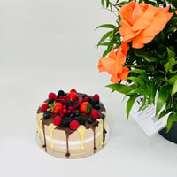 10290-520 - صورة 4