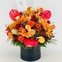 13992 - صورة 4