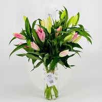 4690-110 - صورة 1