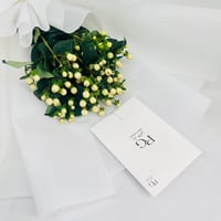 9241 - صورة 4