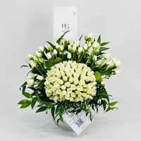 10552-354 - صورة 1
