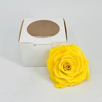 11283 - صورة 1