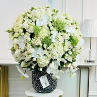 16349 - صورة 2