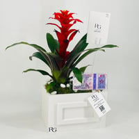 12438 - Image 3