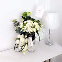 17511 - Image 1