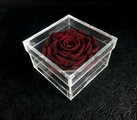 2105 - Image 1