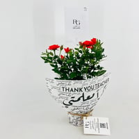13981 - Image 3