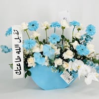 13484 - Image 2