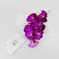14233 - Image 3