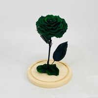 11240 - Image 2