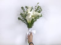 3721-284 - صورة 1