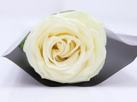 0039 - صورة 2