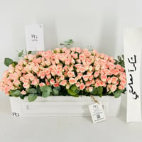 13924 - Image 2