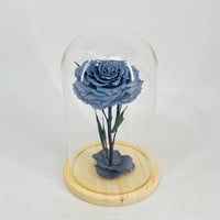 11237 - Image 1