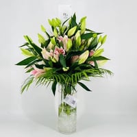 6689-741 - صورة 1