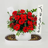 13508 - صورة 1