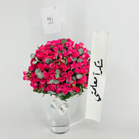 13959 - صورة 2