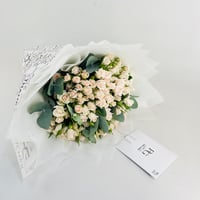 13955 - صورة 3