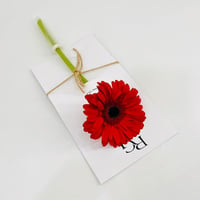 9829-797 - صورة 1