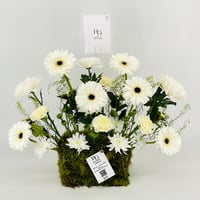 12948 - Image 5